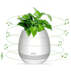 haut parleur bluetooth plante