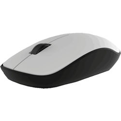 souris d'ordinateur 1